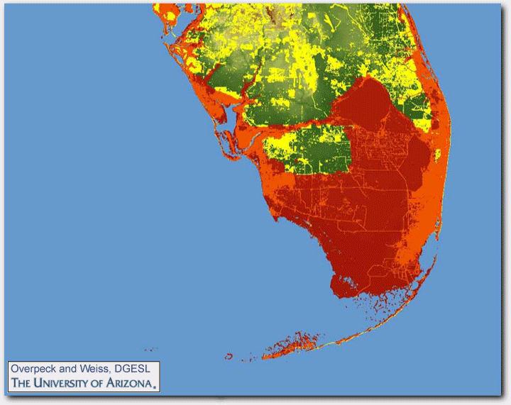 Carbon Footprints and Plastic Disposable Razors - Sea Level Raise 