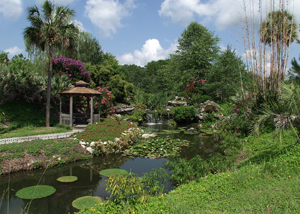 Kanapaha Botanical Gardens