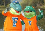Official Mascots of the University Of Florida, Albert and Alberta