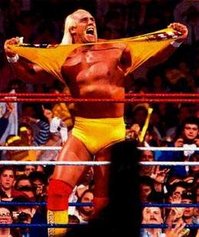 Hulk Hogan